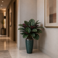 Vase plante intérieur