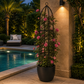 Colonne pour plante grimpante
