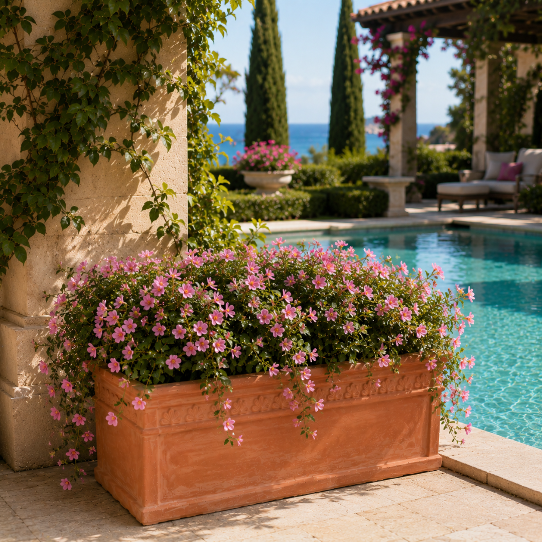 Jardinière terre cuite 100 cm
