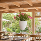 Suspension plante plafond