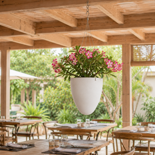 Suspension plante plafond