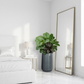 Grand vase pour plante intérieur