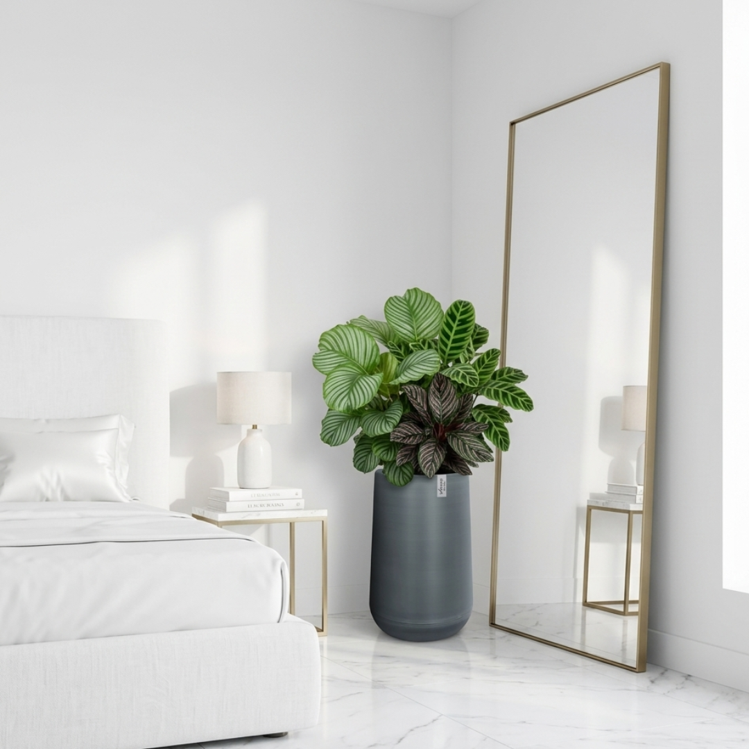 Grand vase pour plante intérieur