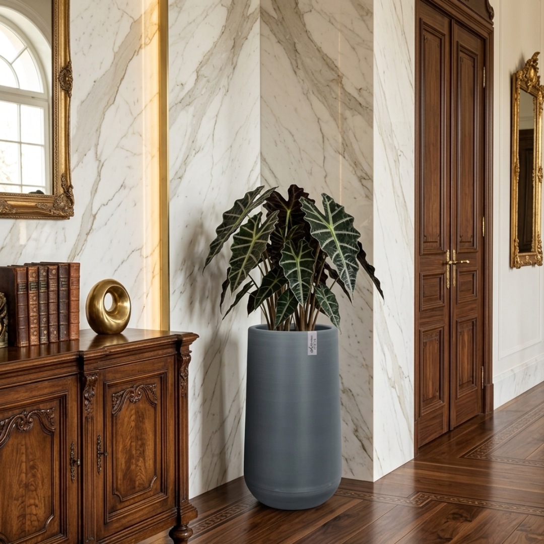 Grand vase pour plante intérieur