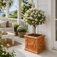 Grande jardinière terre cuite