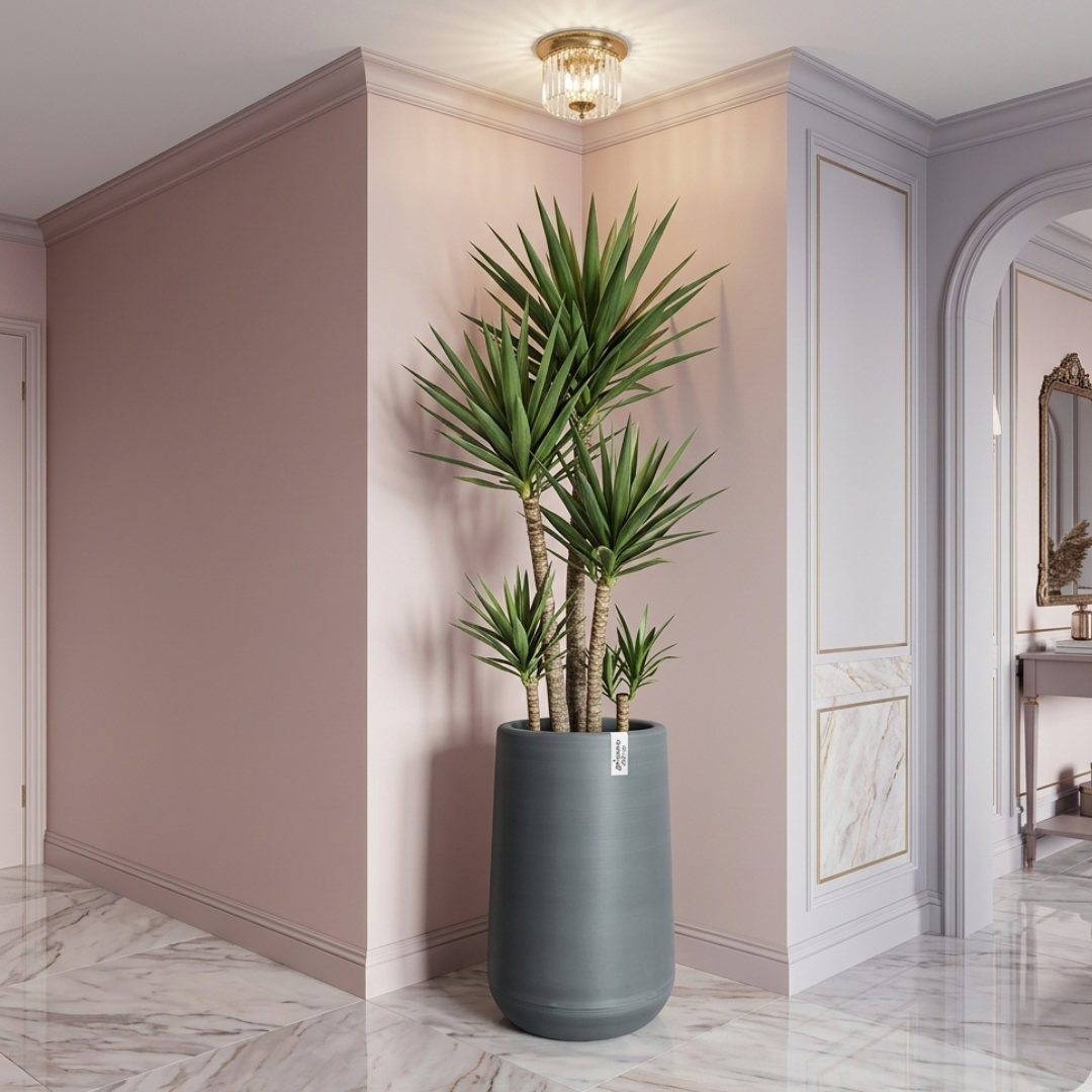 Grand vase pour plante intérieur