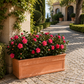 Jardinière terre cuite 100 cm