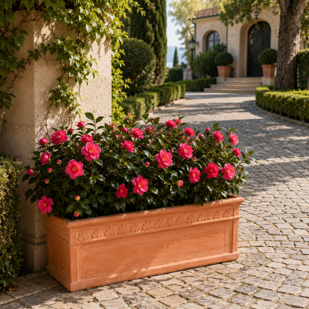 Jardinière terre cuite 100 cm
