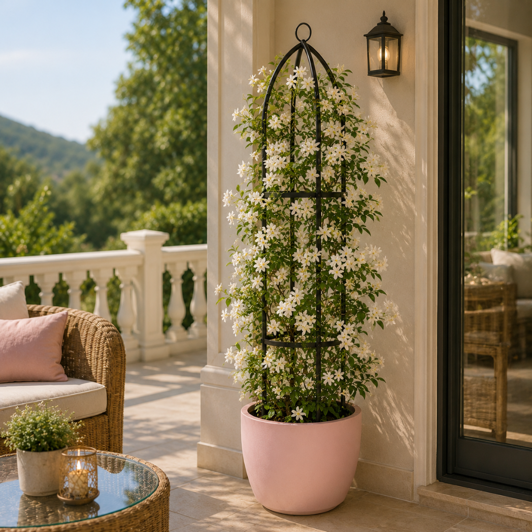Colonne pour plante grimpante