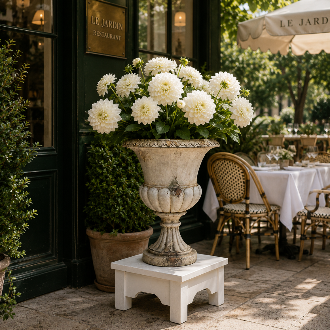 Vase medicis ciment