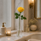 Vase pour une rose