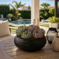 Vase rond plat