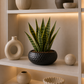 Vase rond plat