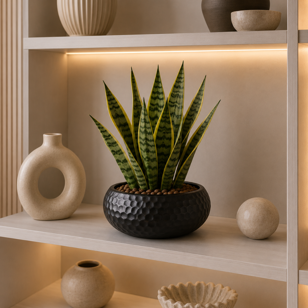 Vase rond plat
