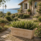 Jardinière terre cuite 50 cm
