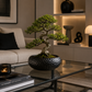 Vase rond plat
