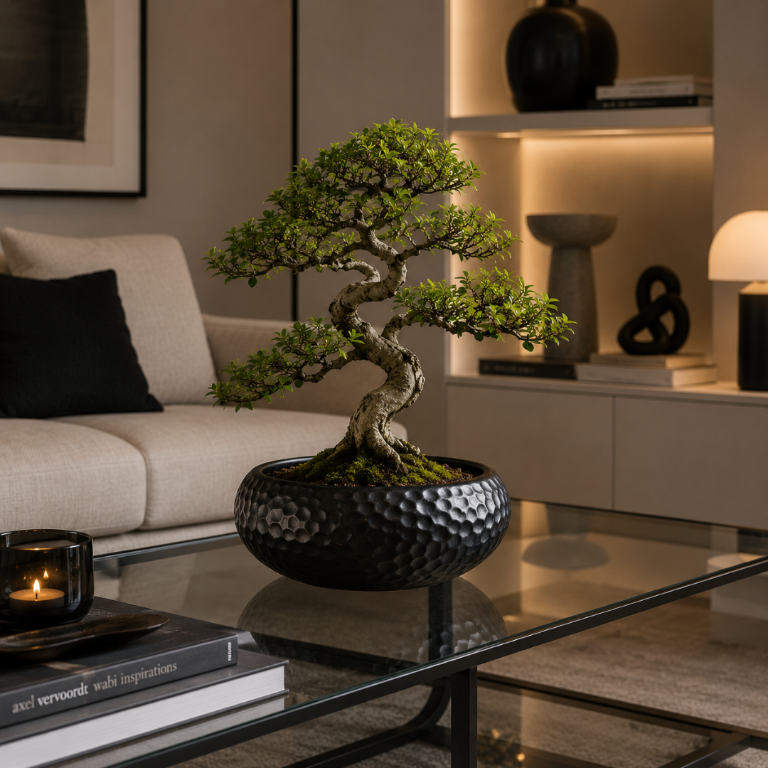 Vase rond plat