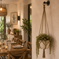 Suspension murale plante
