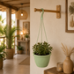 Suspension pour plante