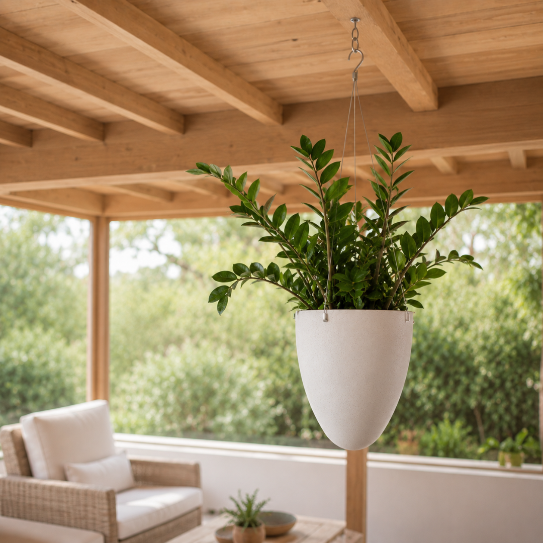 Suspension plante plafond