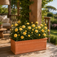 Jardinière terre cuite 100 cm