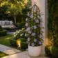 Colonne pour plante grimpante