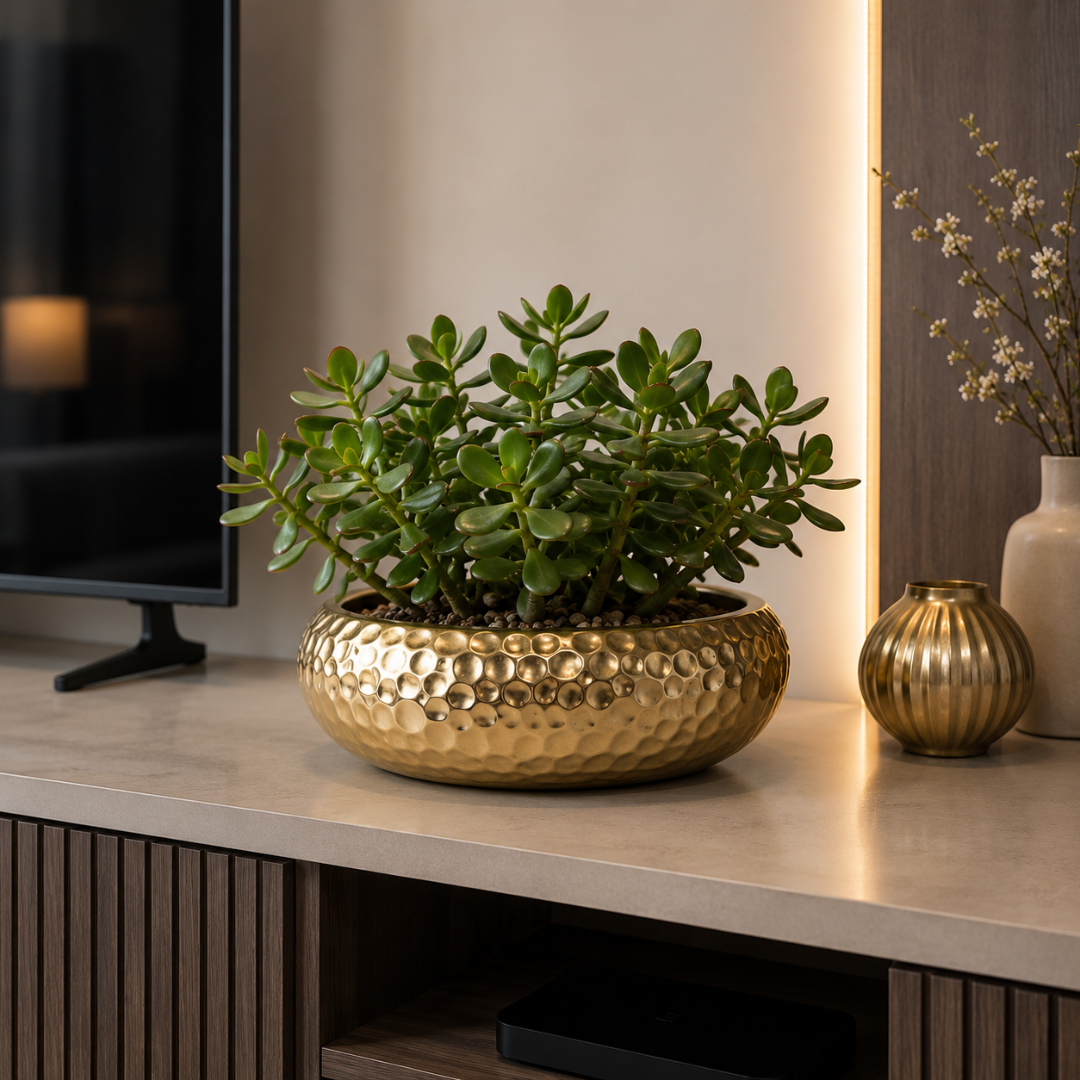 Vase rond plat