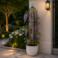 Colonne pour plante grimpante