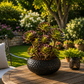 Vase rond plat