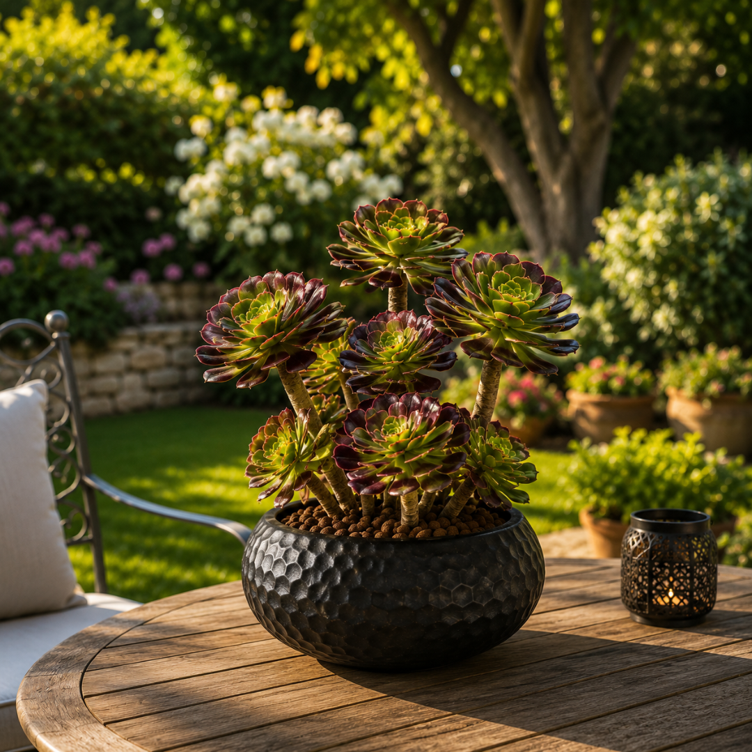 Vase rond plat