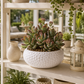 Vase rond plat