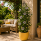 Colonne pour plante grimpante