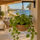 Suspension pour plante verte