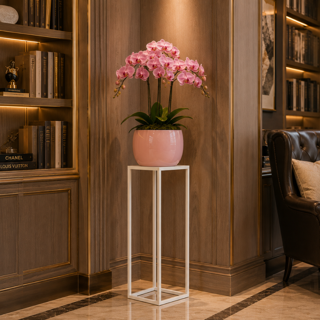 Colonne pour poser une plante