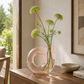 Vase rose transparent