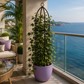 Colonne pour plante grimpante