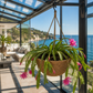 Suspension pour plante verte
