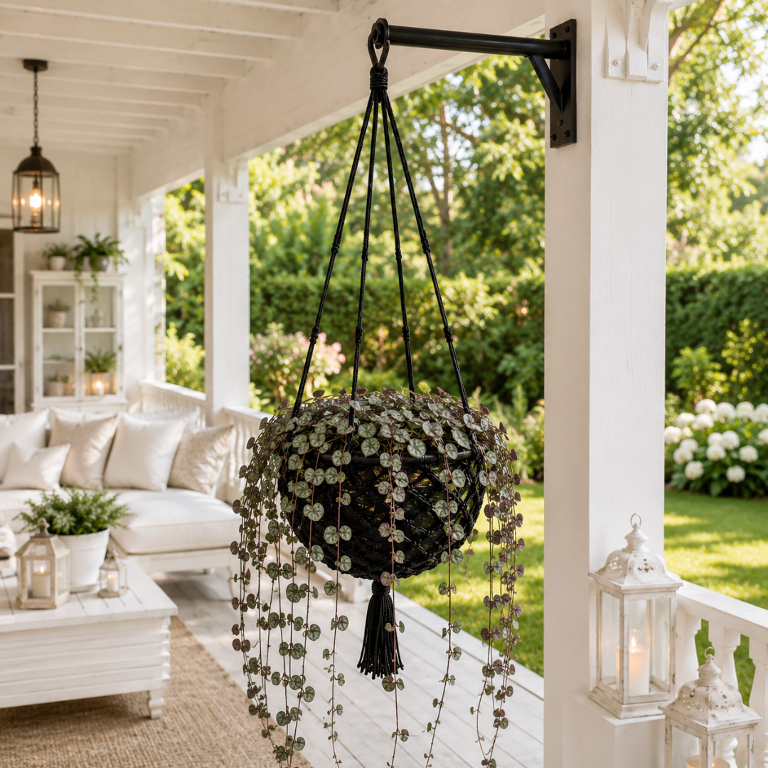 Suspension plante exterieur
