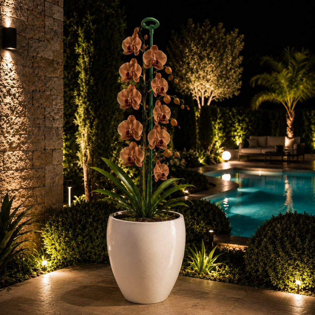 Porte plante pour orchidees
