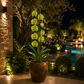 Porte plante pour orchidees