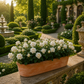 Petite jardinière terre cuite