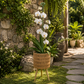 Porte plante pour orchidees