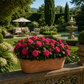 Petite jardinière terre cuite
