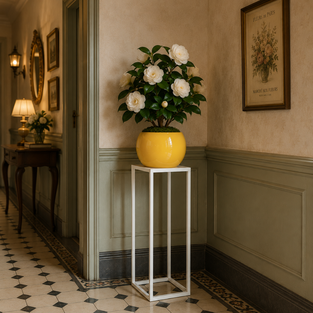 Colonne pour poser une plante