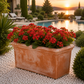 Jardinière en terre cuite 60 cm