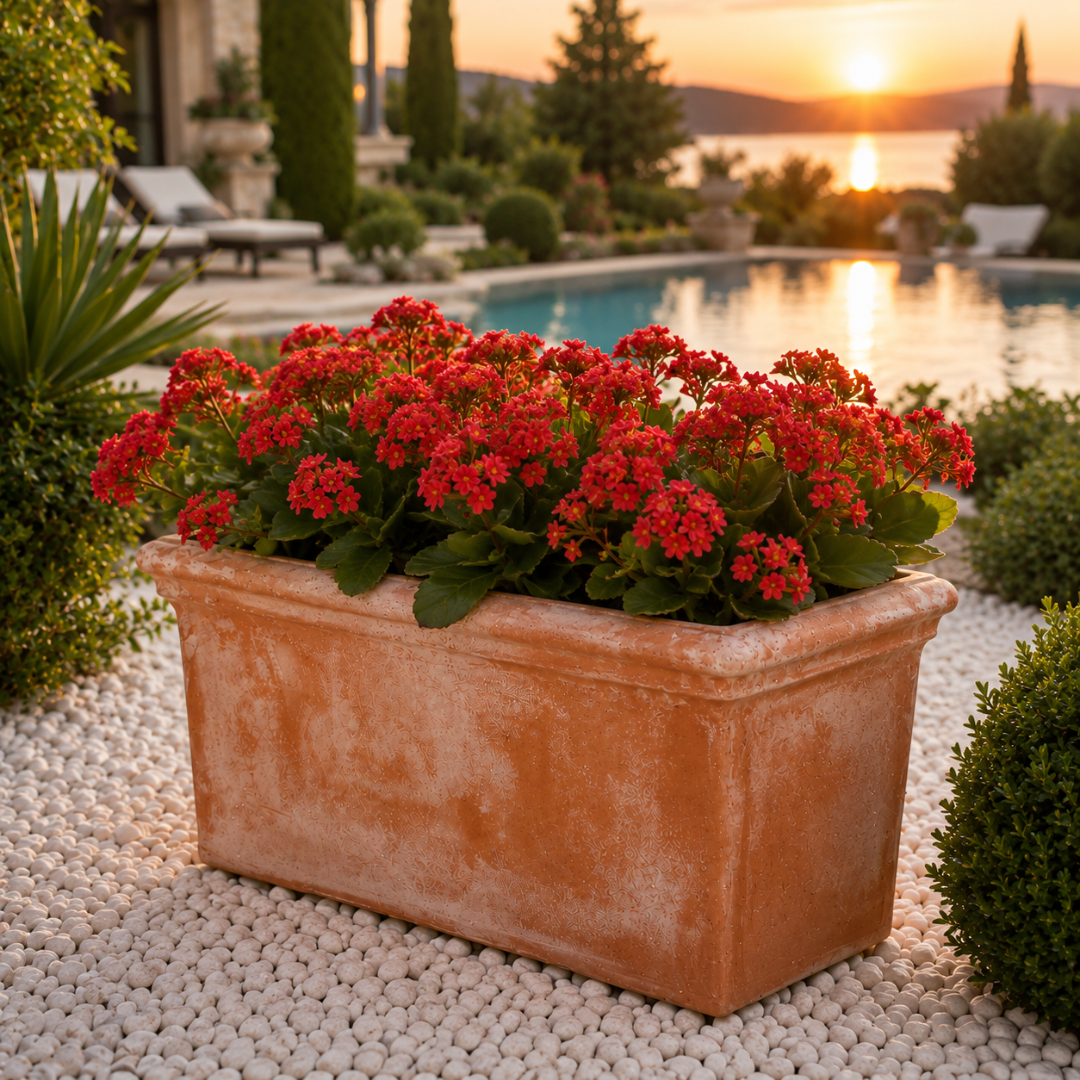 Jardinière en terre cuite 60 cm