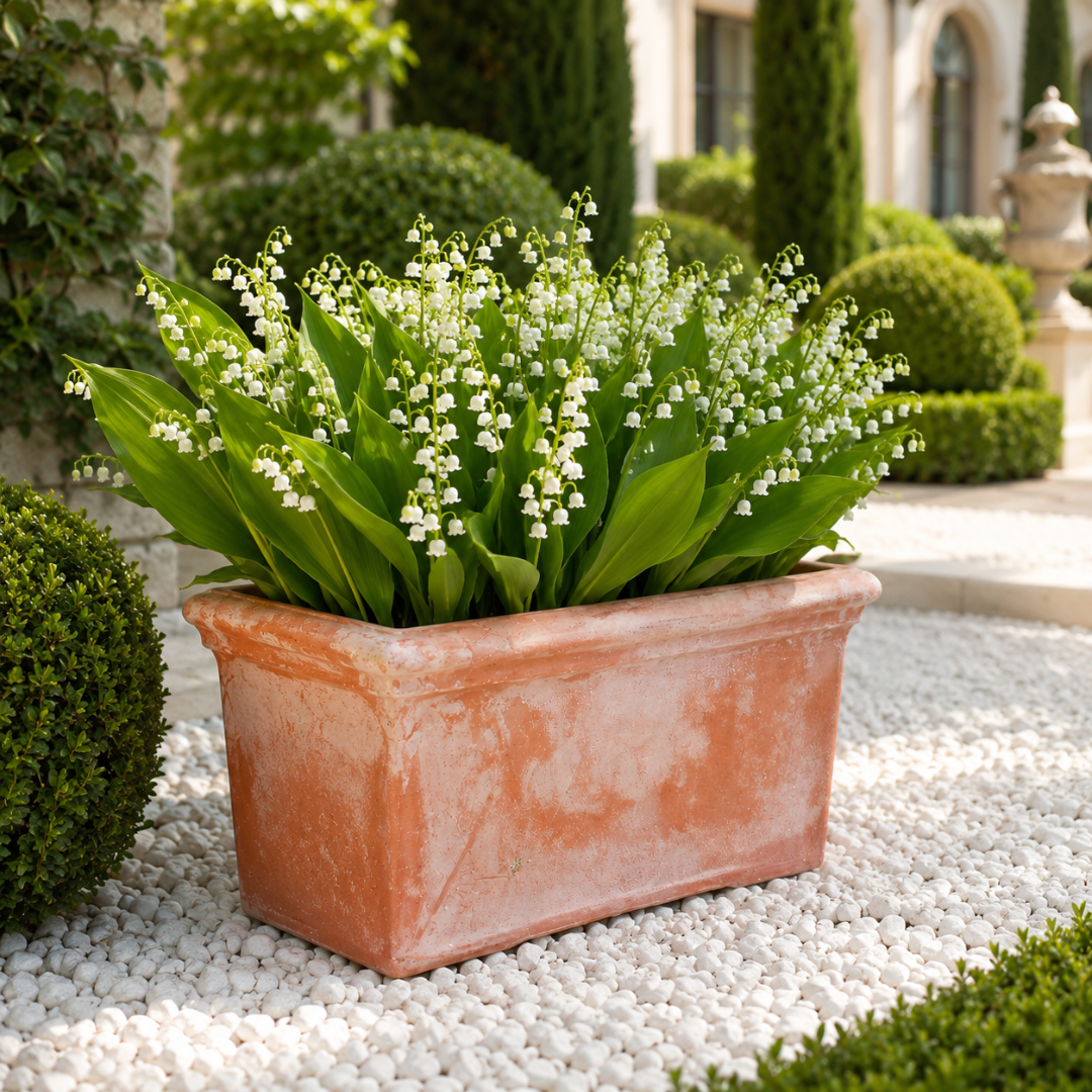 Jardinière en terre cuite 60 cm