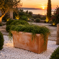 Jardinière en terre cuite 60 cm