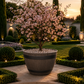 Jardinière ronde xxl
