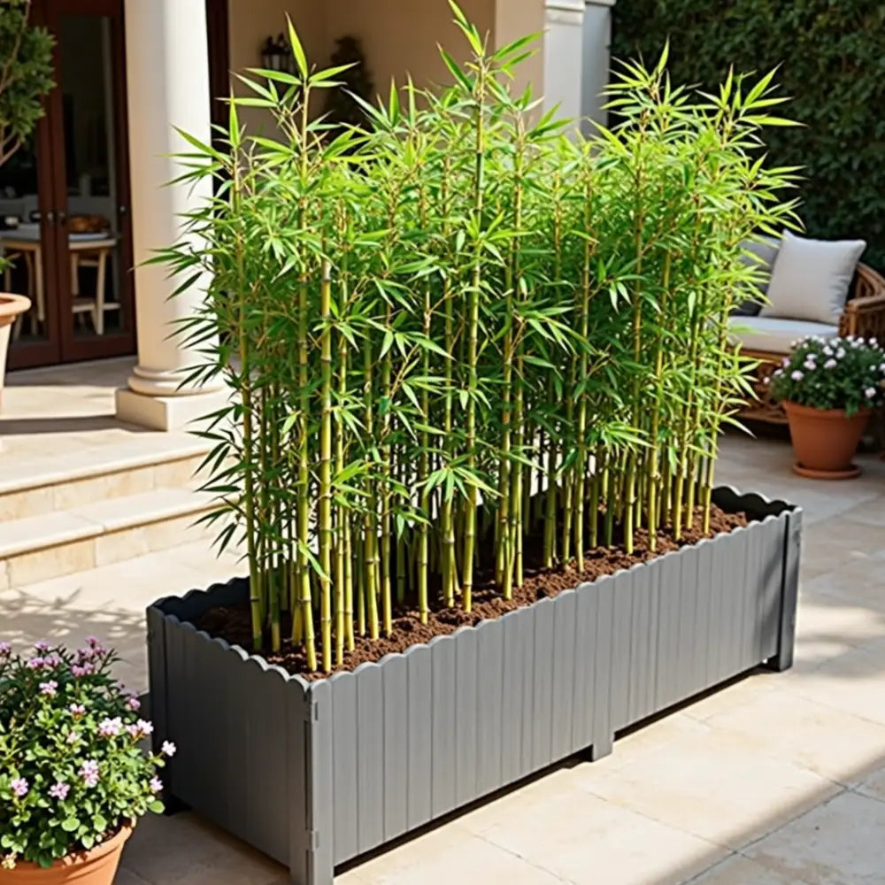 Grande jardinière pour bambou